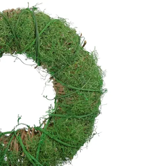 12" Green Moss & Twig Wreath {4}