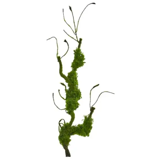 2ft. Moss Twig Vine Plant, 4ct. {1}