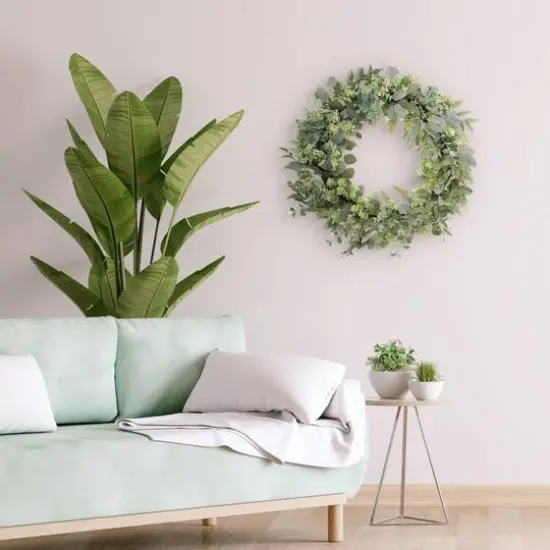 30" Green Spring Eucalyptus & Creeping Jenny Wreath {5}
