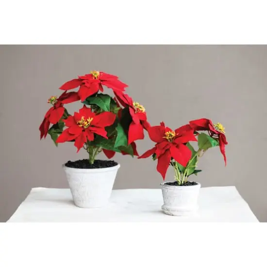 Hello Honey&reg; 12" Faux Poinsettia in Round Cement Pot {3}
