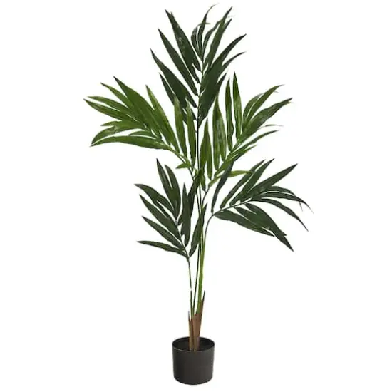 4ft. Potted Kentia Palm Tree {1}