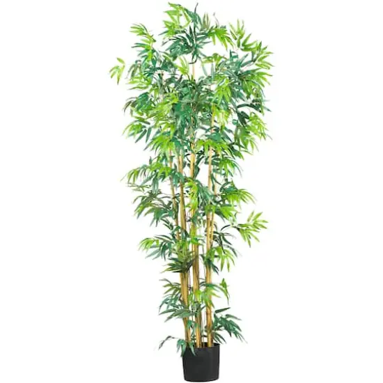 6ft. Potted Bambusa Bamboo Silk Tree {1}