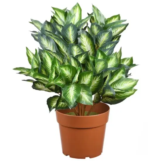 24" Artificial Hosta Plant {1}