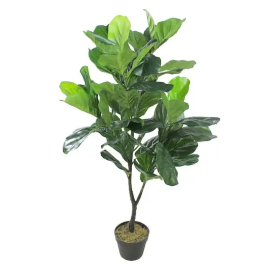 4 ft. Two-Tone Potted Wide Fiddle Leaf Floor Plant {1}