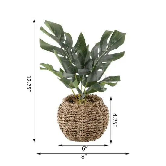 Flora Bunda&reg; 6" Split Leaf In Basket {3}