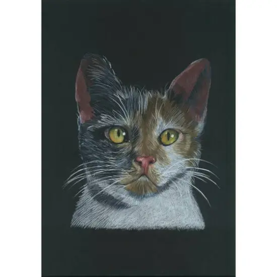 Cretacolor&reg; The Aquarino Box Watercolor Drawing 24-Piece Set {4}