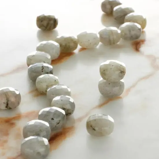 Gray Labradorite Faceted Coin Beads, 8mm by Bead Landing&trade; {3}