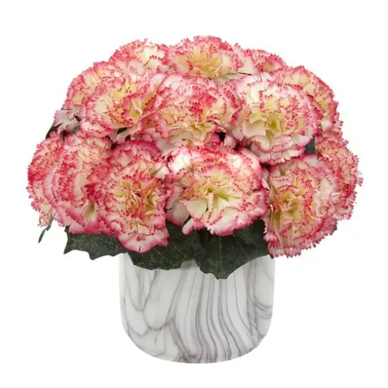 10" Carnation Arrangement in Marble Finished Vase Cream Pink {1}