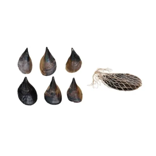 Hello Honey&reg; Pen Clam Shells in Bag {1}