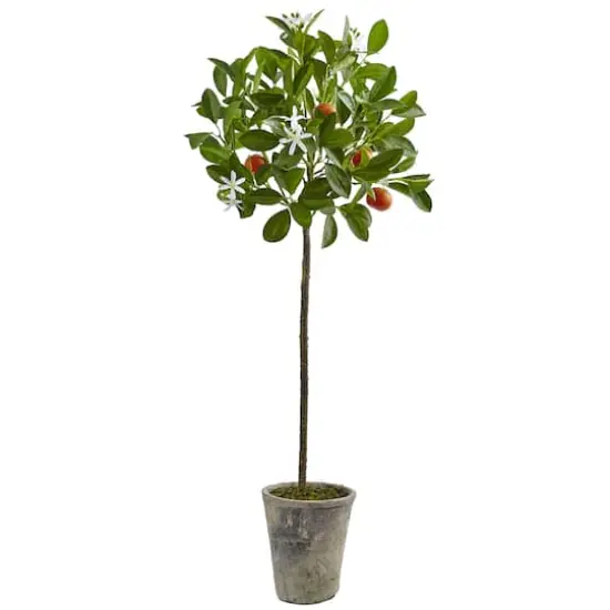 3ft. Potted Orange Tree {1}