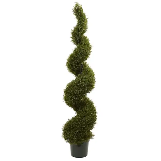 6ft. Potted Rosemary Spiral Tree {1}