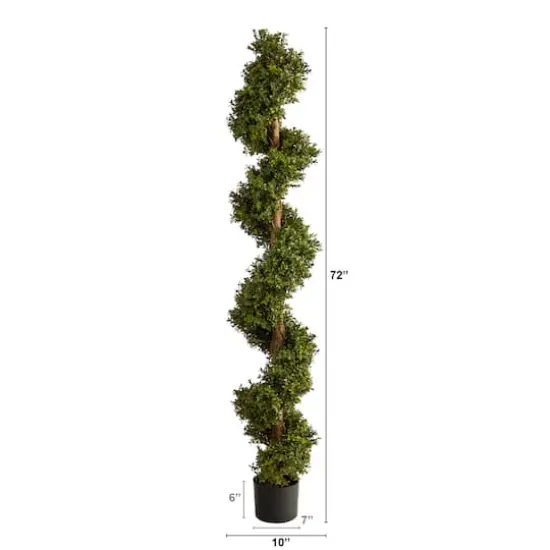 6ft. Potted Spiral Boxwood Topiary Tree {3}