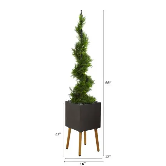5.5ft. Cypress Spiral Topiary Tree in Black Planter with Stand {3}