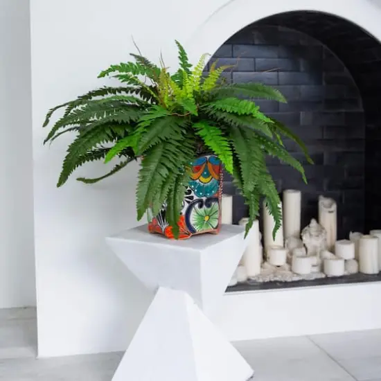 21" Artificial Boston Fern in Handmade Mexican Talavera Ceramic Planter {5}