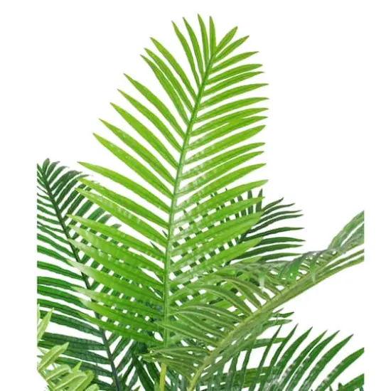5.75ft. Green Potted Areca Palm Tree {4}