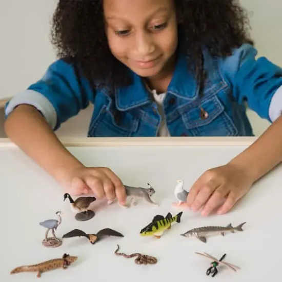 Safari Ltd&reg; TOOB&reg; Great Lakes {4}