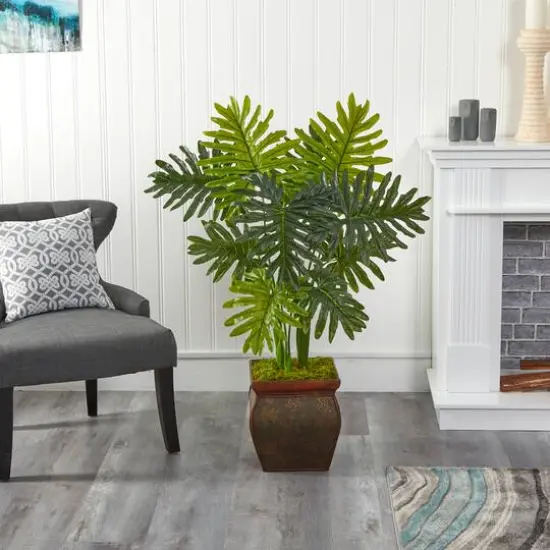 3.5ft. Philodendron Plant in Decorative Planter {4}