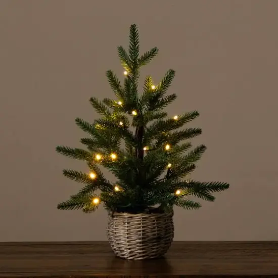 1.5ft. Pre-Lit Artificial Mini Christmas Tree in Basket with 20 Warm White LED Lights {8}