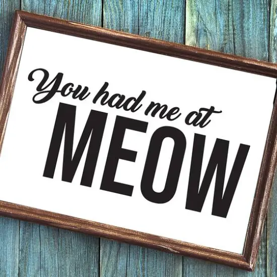 Leisure Arts&reg; Vinyl Matte Black You Had Me at Meow Decal {3}