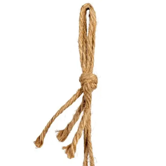 Hello Honey&reg; 7.5" Ivory Hanging Stoneware Seashell Planter with Rope {6}