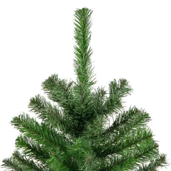 4ft. Unlit Colorado Spruce Artificial Christmas Tree {4}