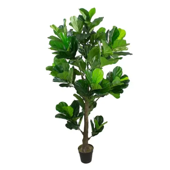 6ft. Dark Green Potted Fiddle Leaf Fig Tree {1}