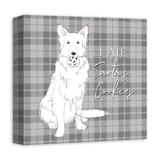 I Ate Santa's Cookies 12x12 Canvas Wall Art {3}