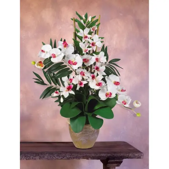 29" Double Phalaenopsis & Dendrobium Silk Orchid Arrangement White/Pink {3}
