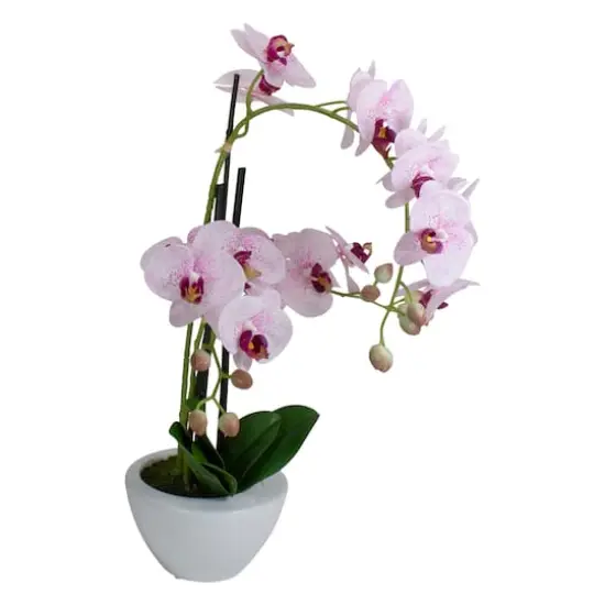 21" Pink & White Orchid Plant in White Pot {7}