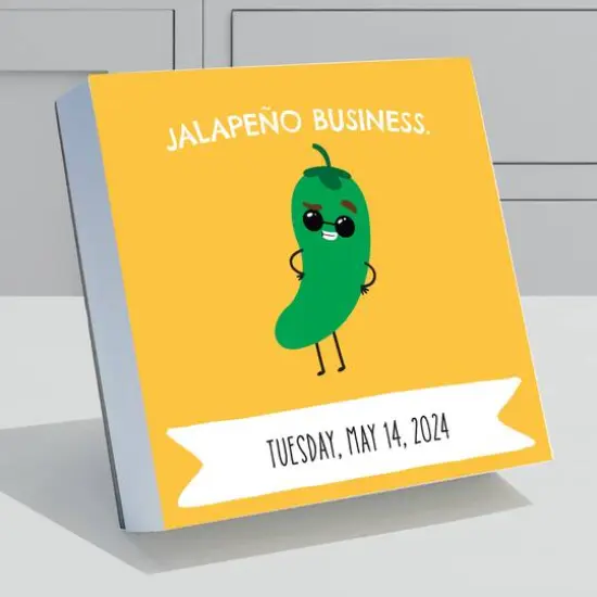 TF Publishing 2024 Puns of Fun Daily Desktop Calendar {3}