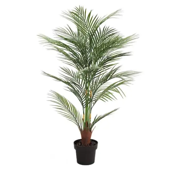 3.9ft. Potted Areca Palm Tree {1}