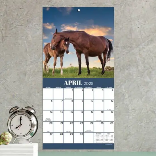 TF Publishing 2025 Horses Mini Calendar {4}