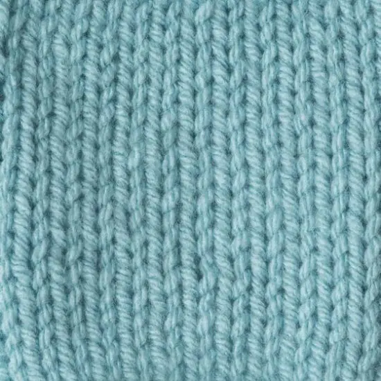 Caron&reg; One Pound&trade; Yarn Soft Sage {5}