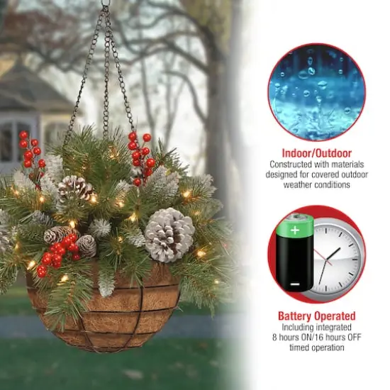 20" Pre-lit Frosted Berry Artificial Christmas Hanging Basket with Cones, Red Berries and Warm White LED Lights {6}