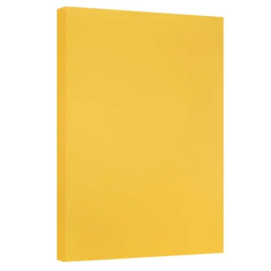 JAM Paper 11'' x 17'' 67lb. Vellum Bristol Cardstock, 50 Sheets Goldenrod {1}