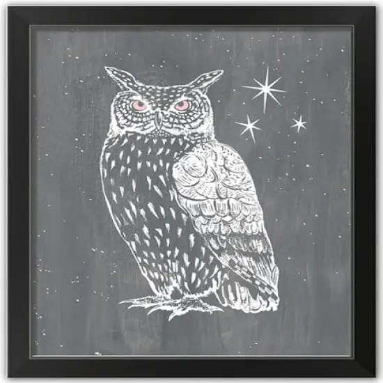 Owl Print Black Framed Print Wall Art {1}