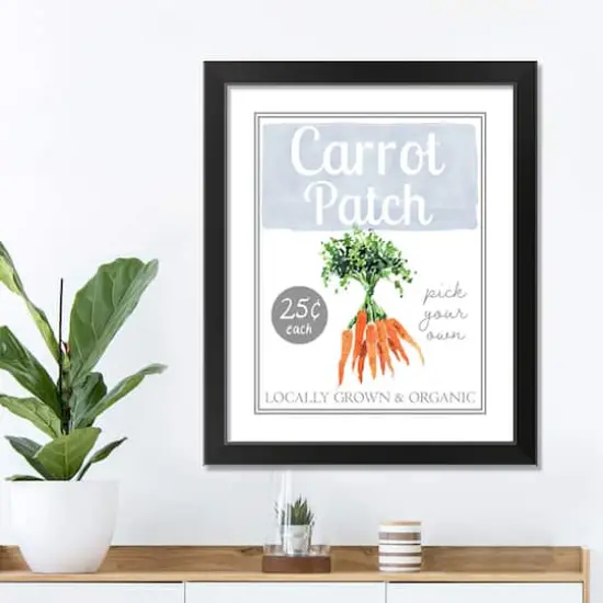 Carrot Patch Sign 5 16" x 20" Black Framed Print Under Plexiglass {4}
