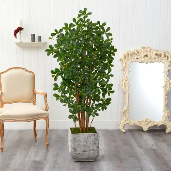 5.5ft. Black Olive Artificial Tree with 1365 Bendable Leaves in White Planter {4}