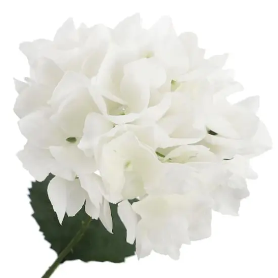White Hydrangea Bush by Ashland&reg; {4}