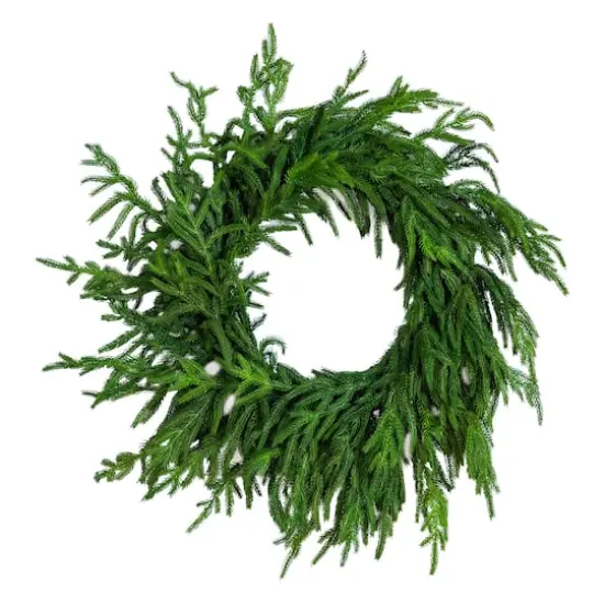 24in. Artificial Real Touch Norfolk Island Pine Wreath with Natural Look {1}