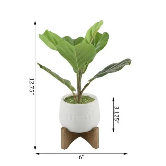 Flora Bunda&reg; 12" Fiddle In 3.5" Mayan Ceramic Pot On Stand {3}