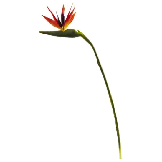 Large Artificial Bird of Paradise Stem, 4ct. {1}