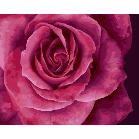 Crafting Spark Tender Rose Painting by Numbers Kit {1}