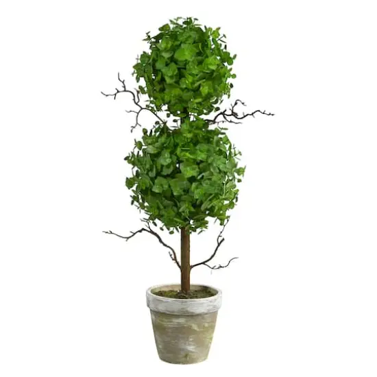 24" Potted Eucalyptus Double Ball Topiary Tree {1}