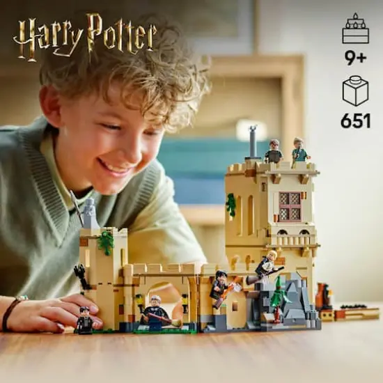 LEGO&reg; Harry Potter&trade; Hogwarts&trade; Castle: Flying Lessons Adventure Set 76447 {5}