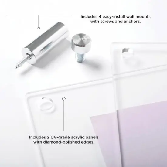 Wexel Art Double Panel Clear Acrylic Floating Wall Frame with Silver Hardware {6}