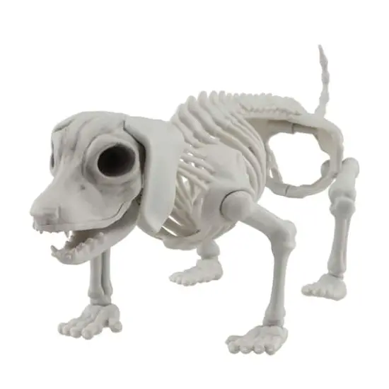 12.5" Dog Skeleton by Ashland&reg; {1}