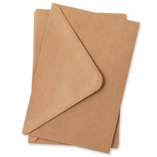 Kraft Paper Envelopes by Recollections&trade;, 6" x 9" {5}