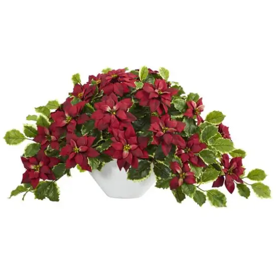 20" Poinsettia & Variegated Holly Plant in Oval White Planter {1}