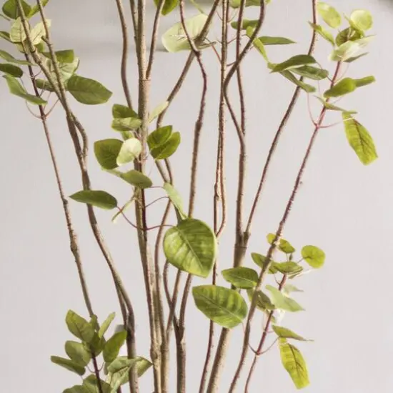 5ft. Potted Artificial Green Smoke Tree {7}